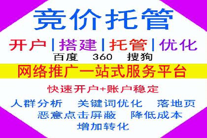 大型SEM服务公司案例分析